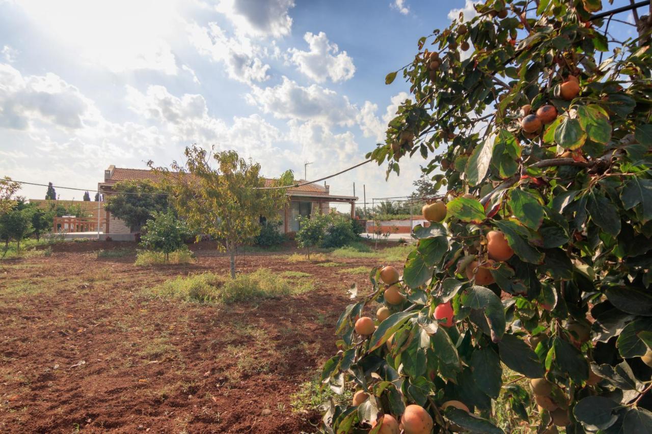 Berryrose Villa Bahçalar Dış mekan fotoğraf